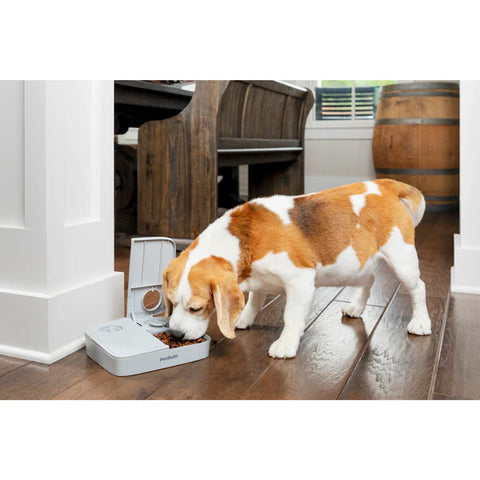 Comedero Automático de 2 Comidas — PetSafe