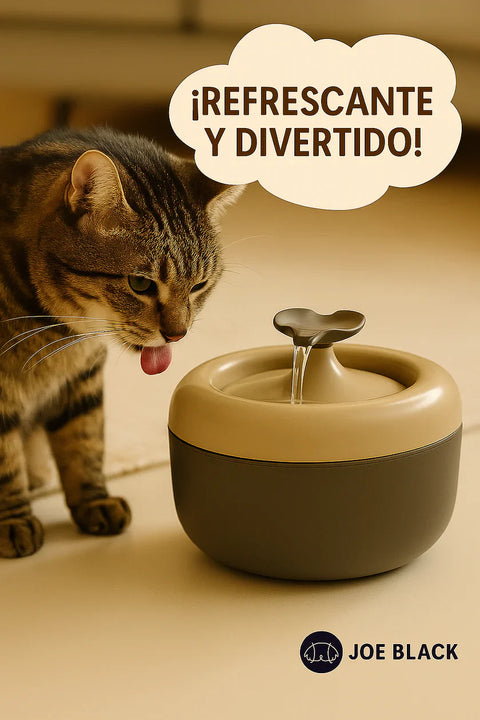 Gatos