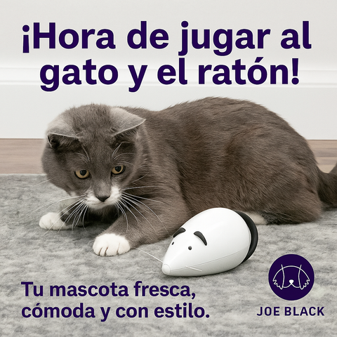 FroliCat® RoloRat — Juguete Automático para Gatos