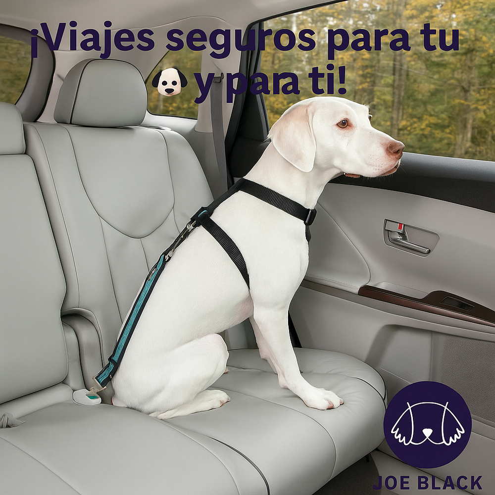 Kurgo Adaptador Cinturon de Seguridad
